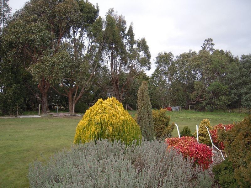 5 Macquarie Street, Cressy TAS 7302