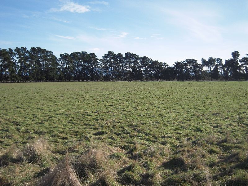 19 and 39 Peel Street, Longford TAS 7301