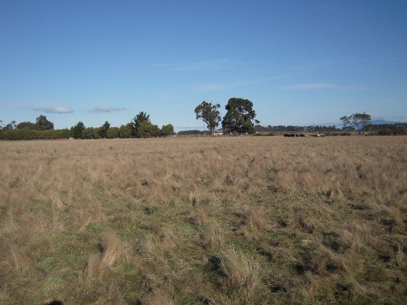 19 and 39 Peel Street, Longford TAS 7301