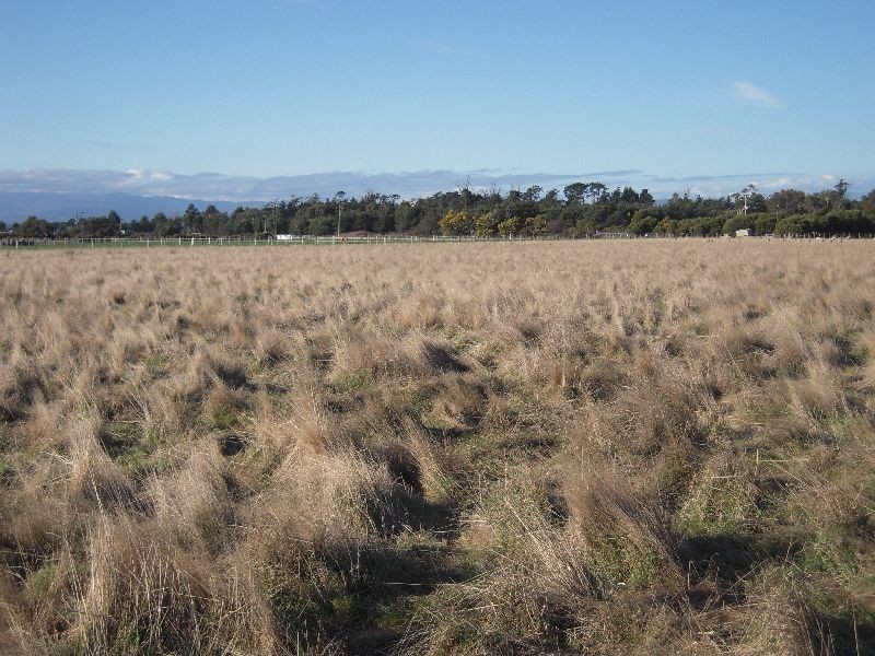 19 and 39 Peel Street, Longford TAS 7301