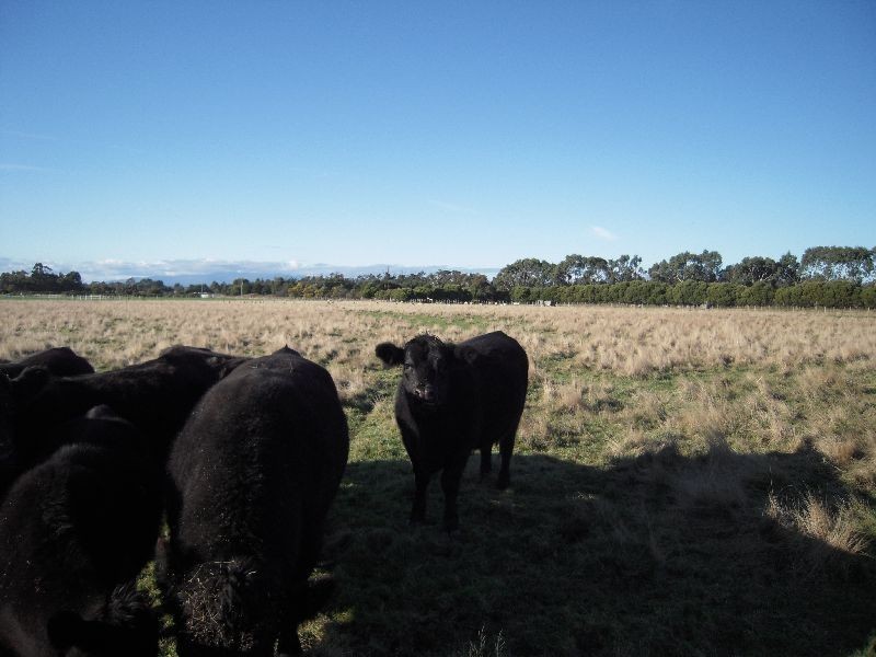 19 and 39 Peel Street, Longford TAS 7301