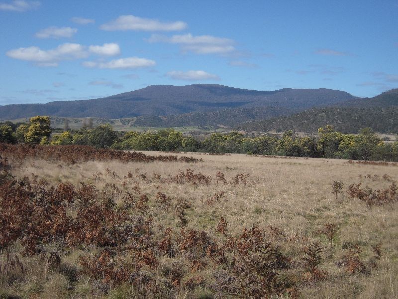Lot 1 310 Leona Rd, Avoca TAS 7213