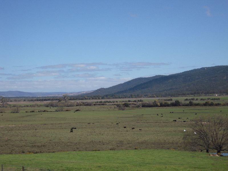 Lot 1 310 Leona Rd, Avoca TAS 7213