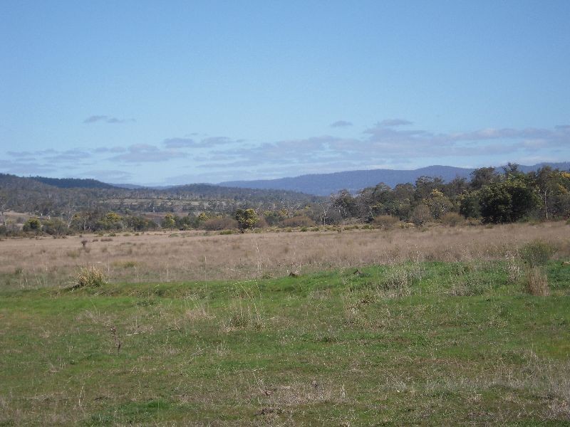 Lot 1 310 Leona Rd, Avoca TAS 7213