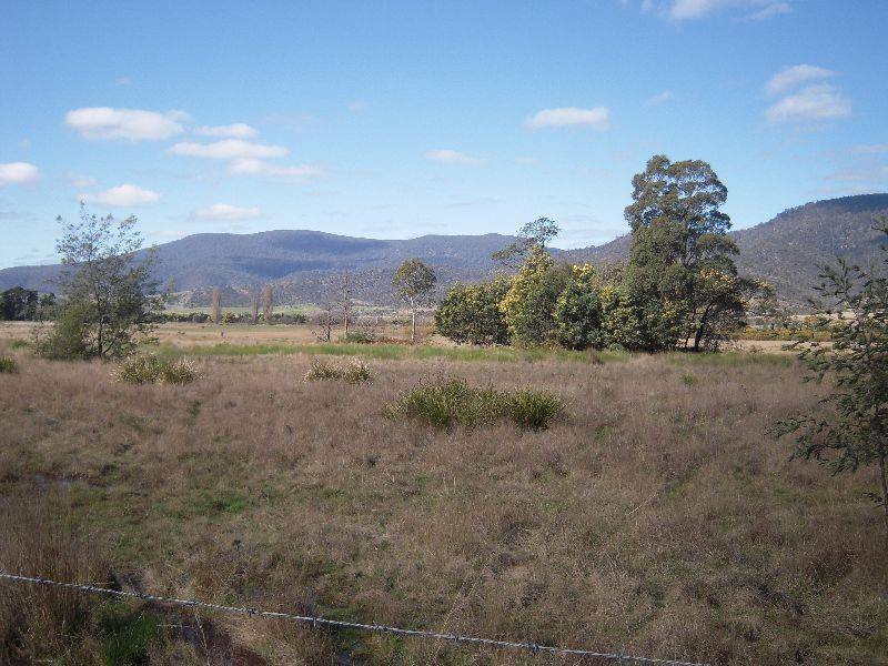 Lot 1 310 Leona Rd, Avoca TAS 7213