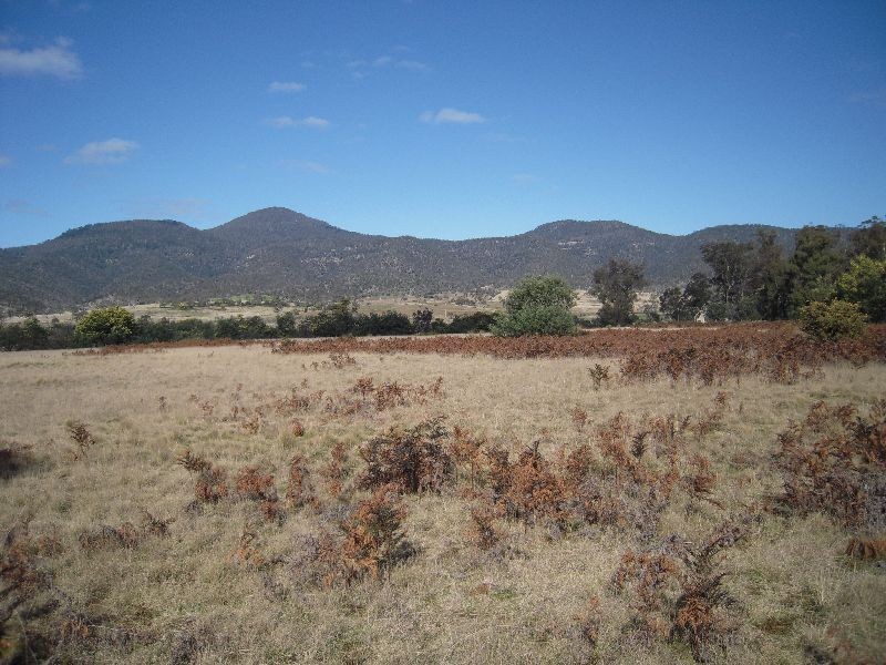 Lot 1 310 Leona Rd, Avoca TAS 7213