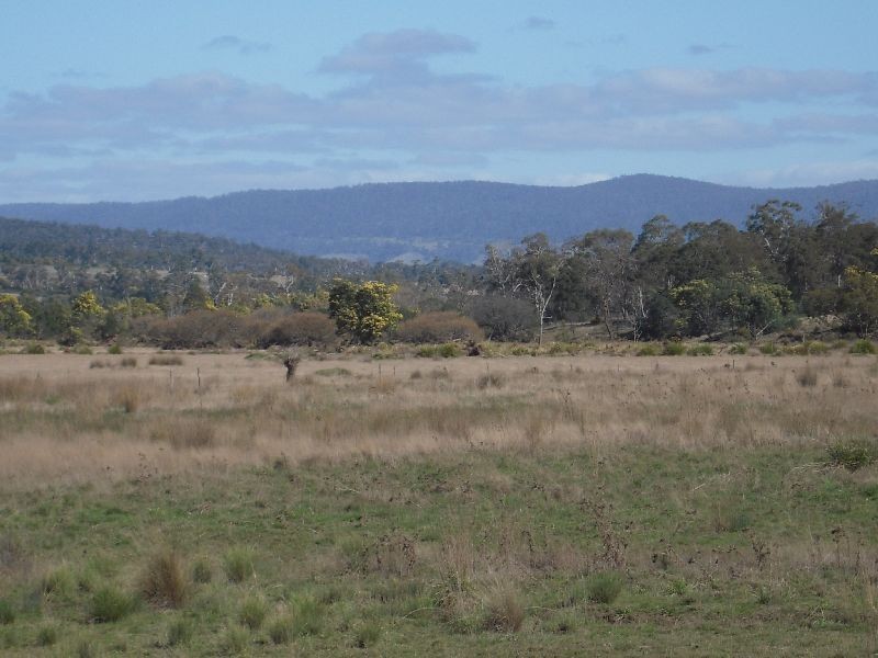 Lot 1 310 Leona Rd, Avoca TAS 7213