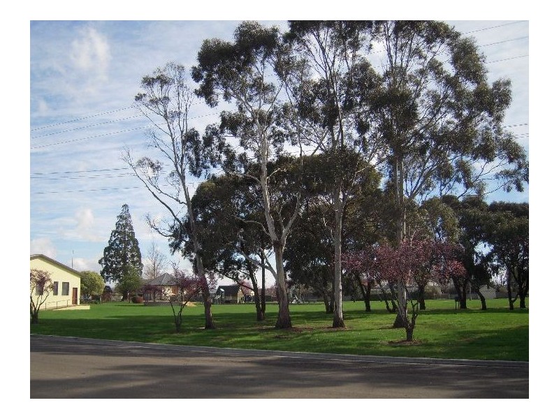 8 Lyttleton Street, Longford TAS 7301