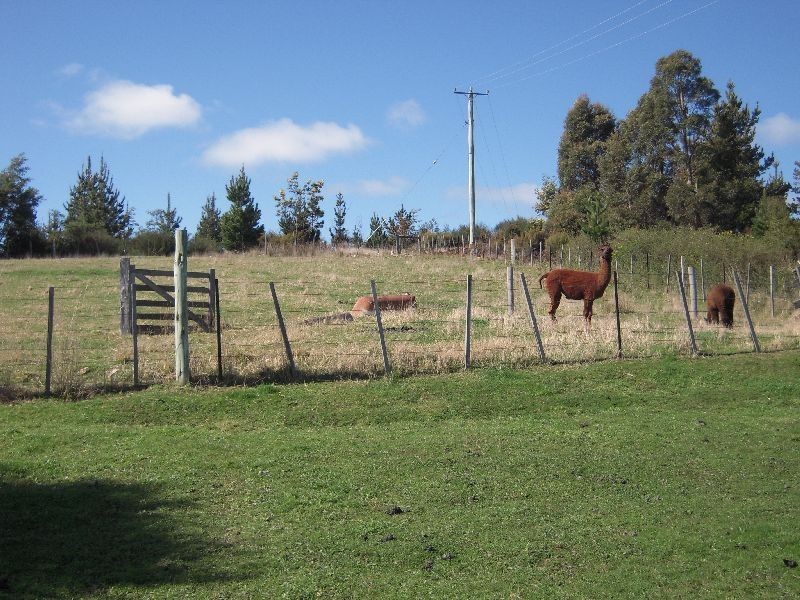 83 High Street, Mathinna TAS 7214