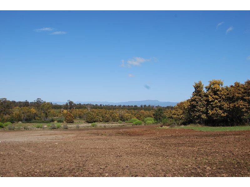 1666 Bridgenorth Road, Rosevale TAS 7292
