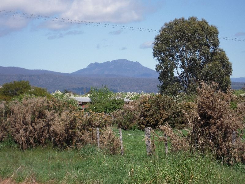 87 Dexter Street, Westbury TAS 7303