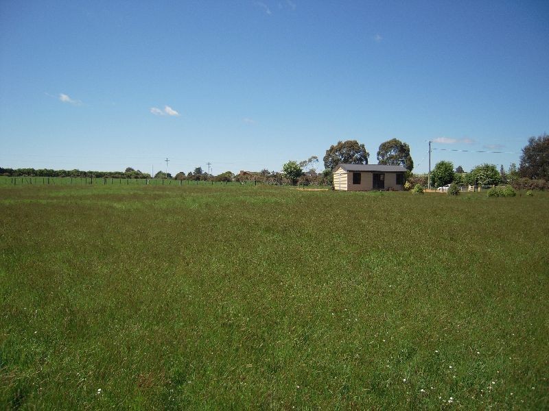 87 Dexter Street, Westbury TAS 7303