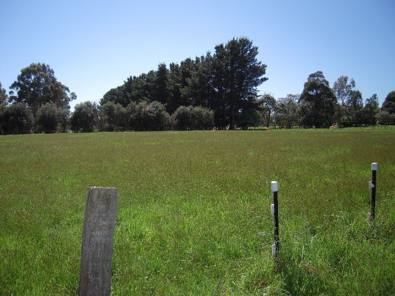 87 Dexter Street, Westbury TAS 7303