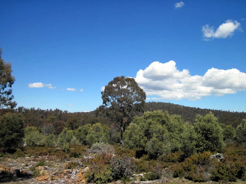 Lot 17 Arthurs Lake Road, Arthurs Lake TAS 7030