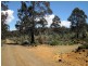 Lot 17 Arthurs Lake Road, Arthurs Lake TAS 7030