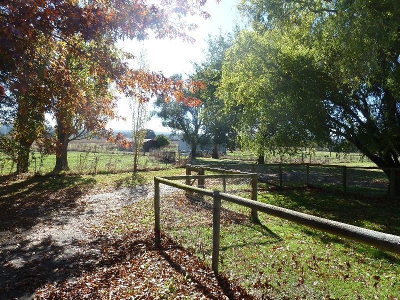 3784 Meander Valley Road, Exton TAS 7303