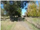 3784 Meander Valley Road, Exton TAS 7303