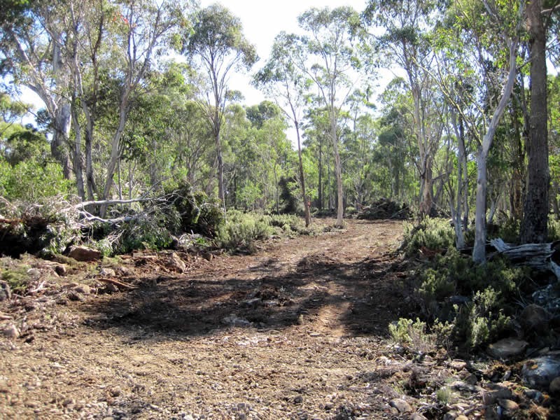 Lot 3 Arthurs Lake Road, Arthurs Lake TAS 7030