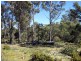Lot 3 Arthurs Lake Road, Arthurs Lake TAS 7030