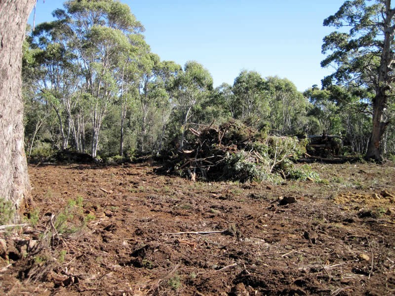 Lot 3 Arthurs Lake Road, Arthurs Lake TAS 7030