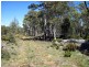 Lot 3 Arthurs Lake Road, Arthurs Lake TAS 7030