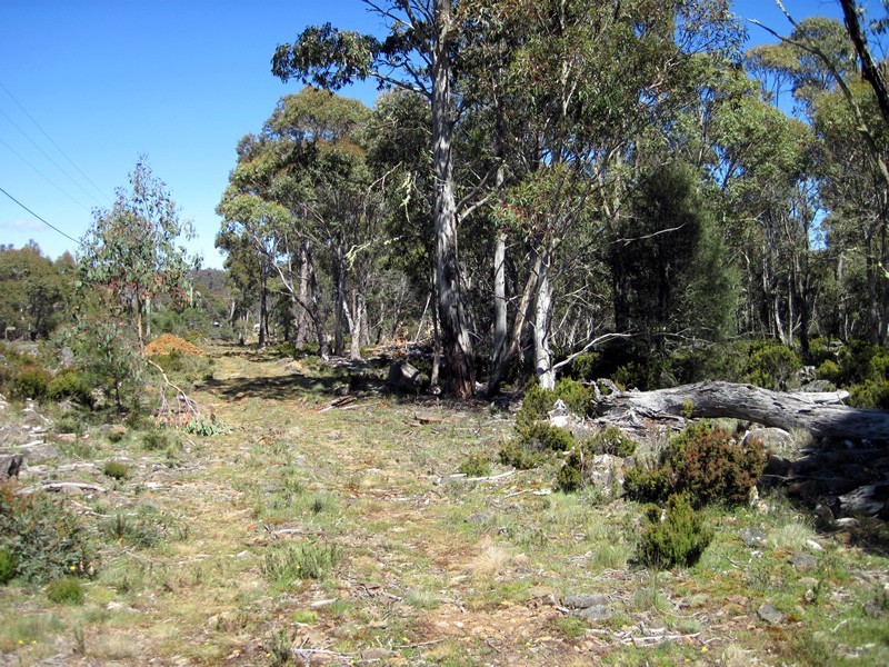 Lot 3 Arthurs Lake Road, Arthurs Lake TAS 7030