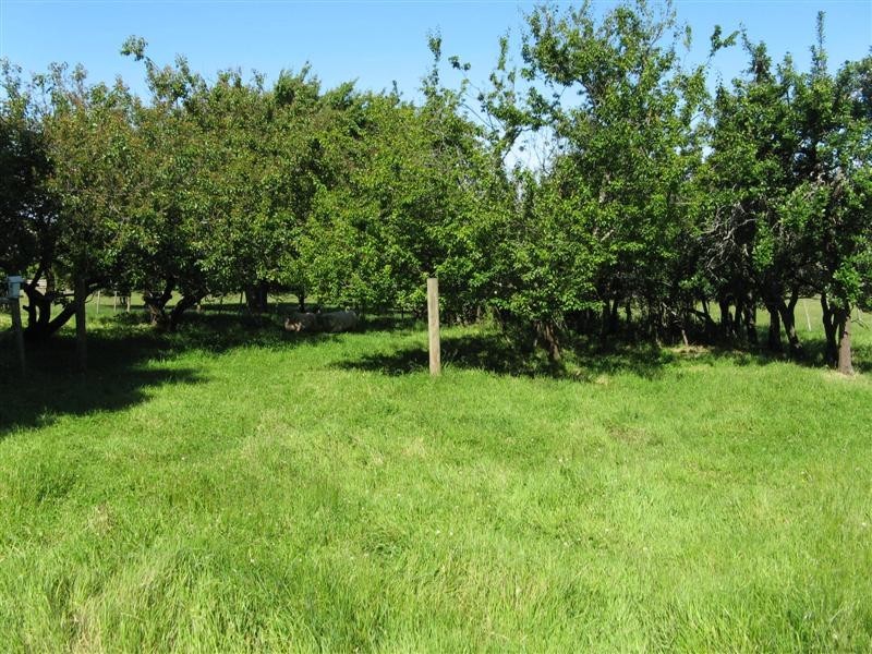 51 Jane Street, Bracknell TAS 7302