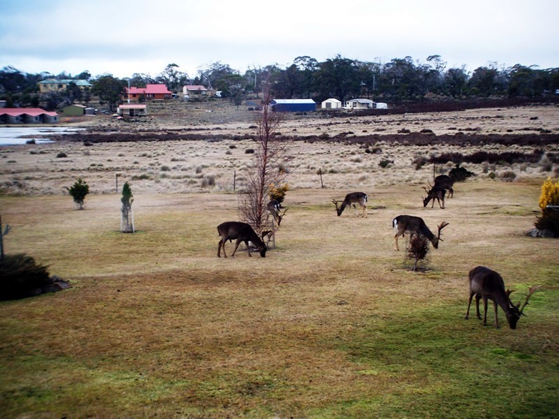 14 Fleming Drive, Miena TAS 7030