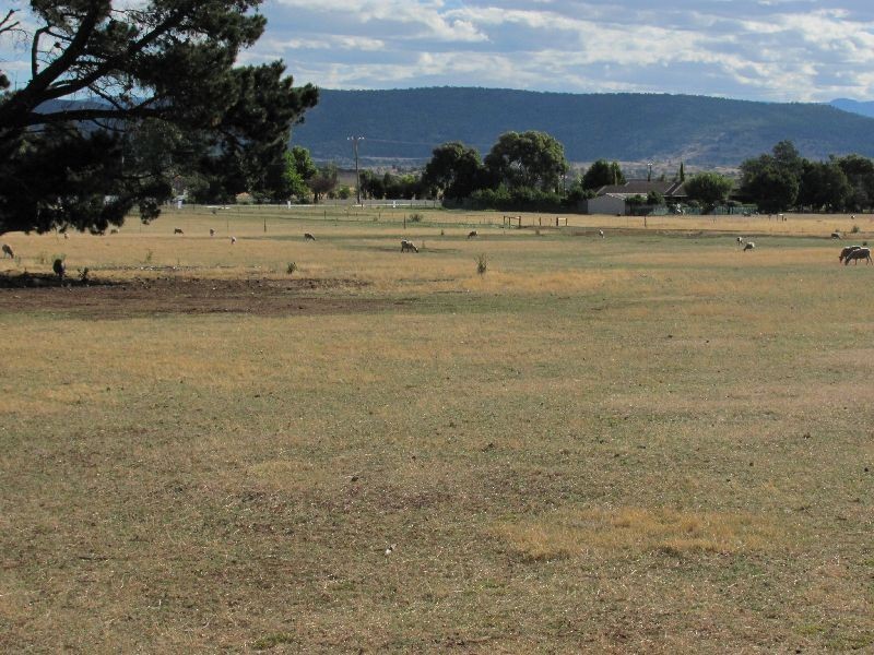 Lots 1-8 Bond Street, Campbell Town TAS 7210