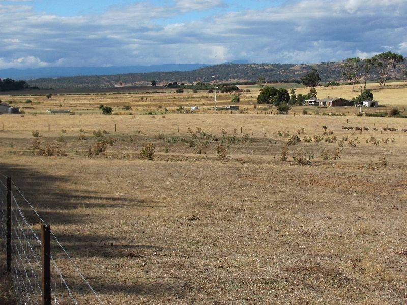 48-60 Grant Street, Campbell Town TAS 7210