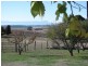133 Main Street, Cressy TAS 7302