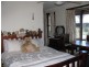 133 Main Street, Cressy TAS 7302