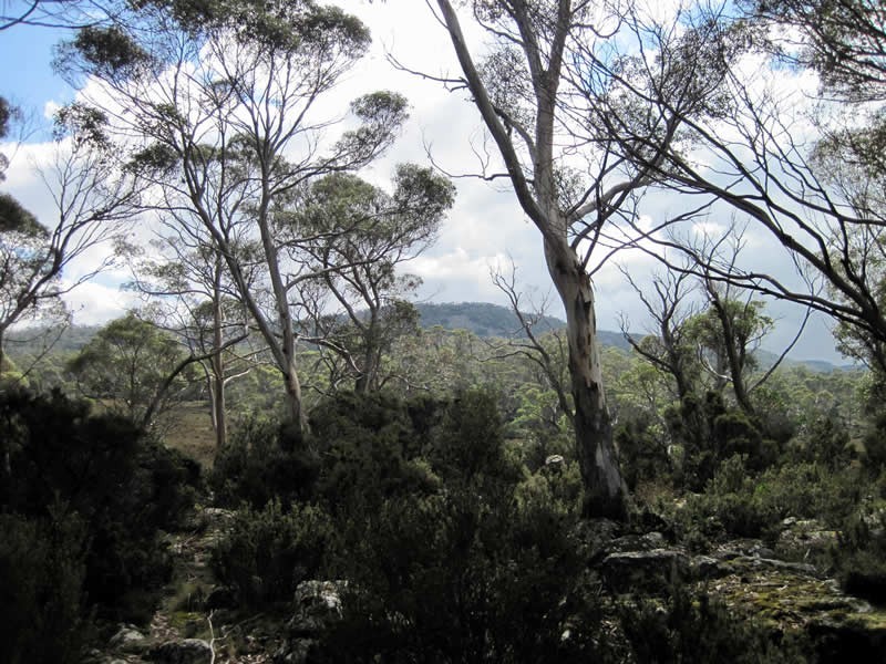 15 Johnstone Road, Doctors Point TAS 7304