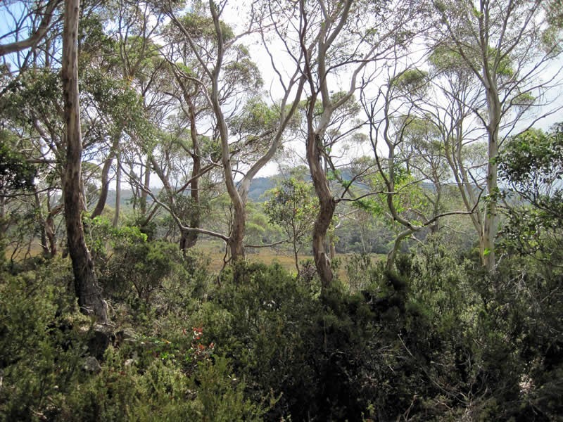 15 Johnstone Road, Doctors Point TAS 7304