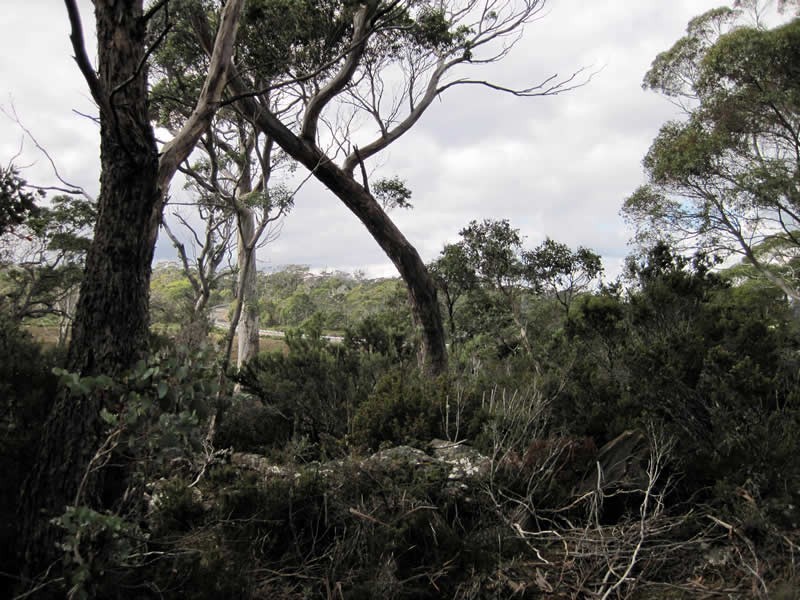 15 Johnstone Road, Doctors Point TAS 7304