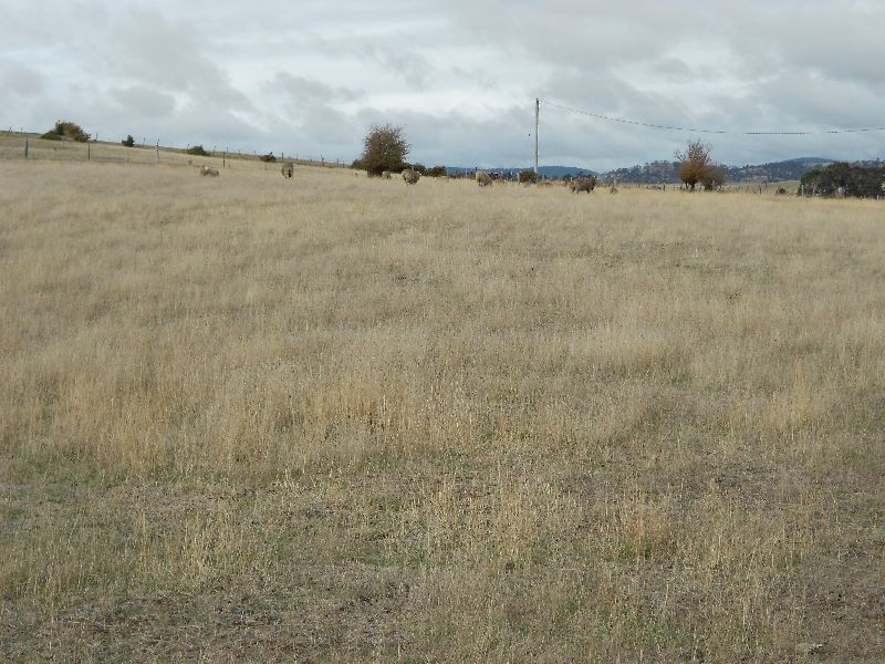 Lot 1/9 Waterloo Street, Ross TAS 7209