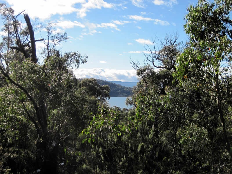 Lot 689 Ruby Road, Miena TAS 7030