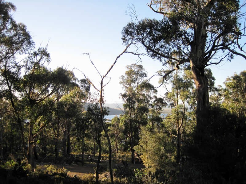 Lot 689 Ruby Road, Miena TAS 7030