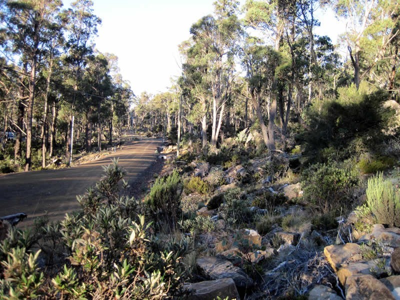 Lot 689 Ruby Road, Miena TAS 7030