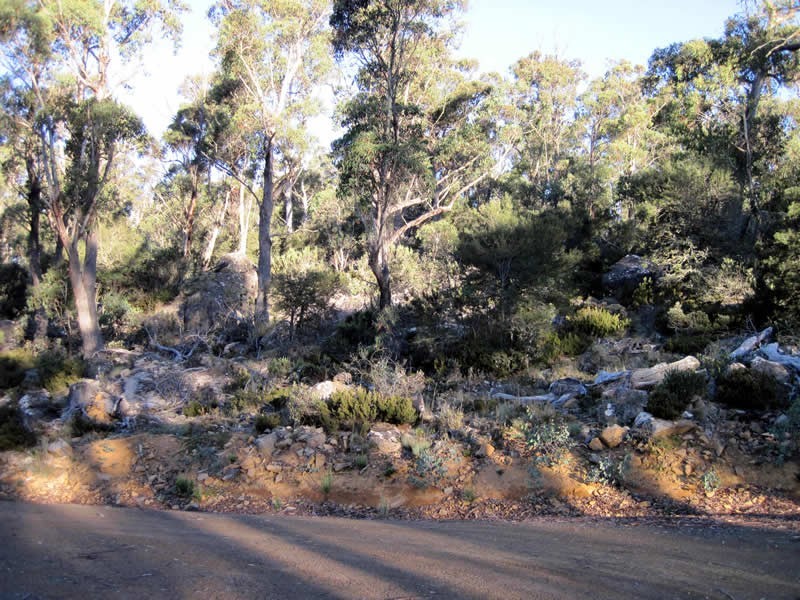 Lot 689 Ruby Road, Miena TAS 7030