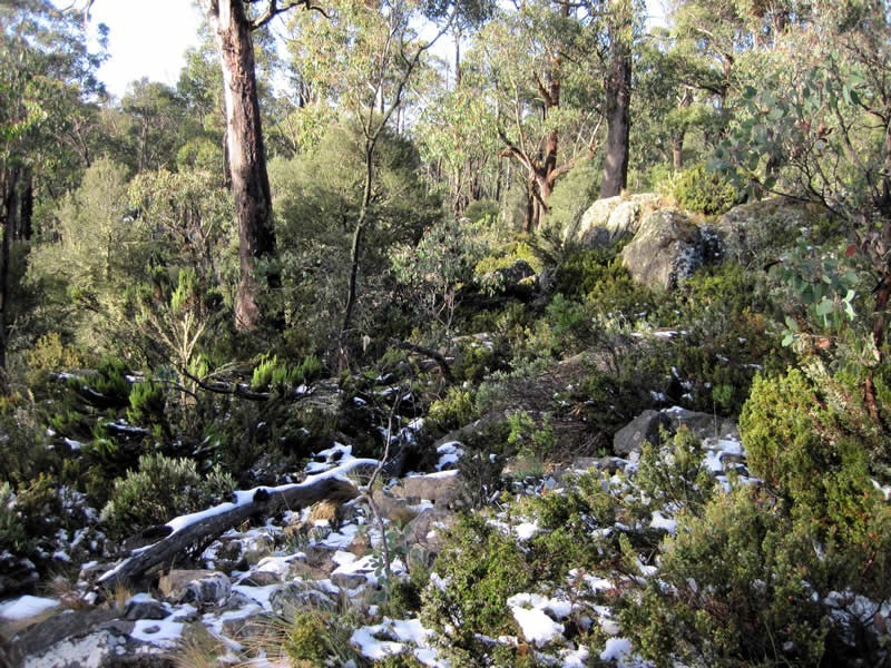 Lot 689 Ruby Road, Miena TAS 7030