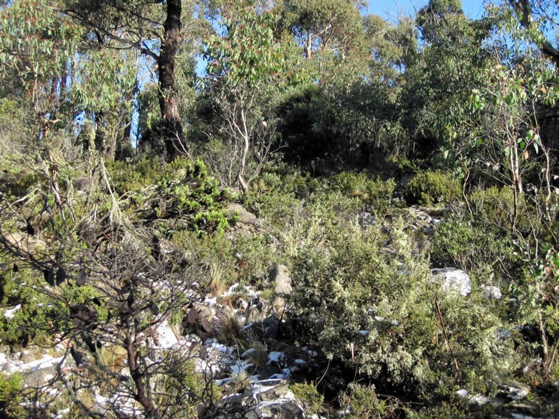 Lot 689 Ruby Road, Miena TAS 7030