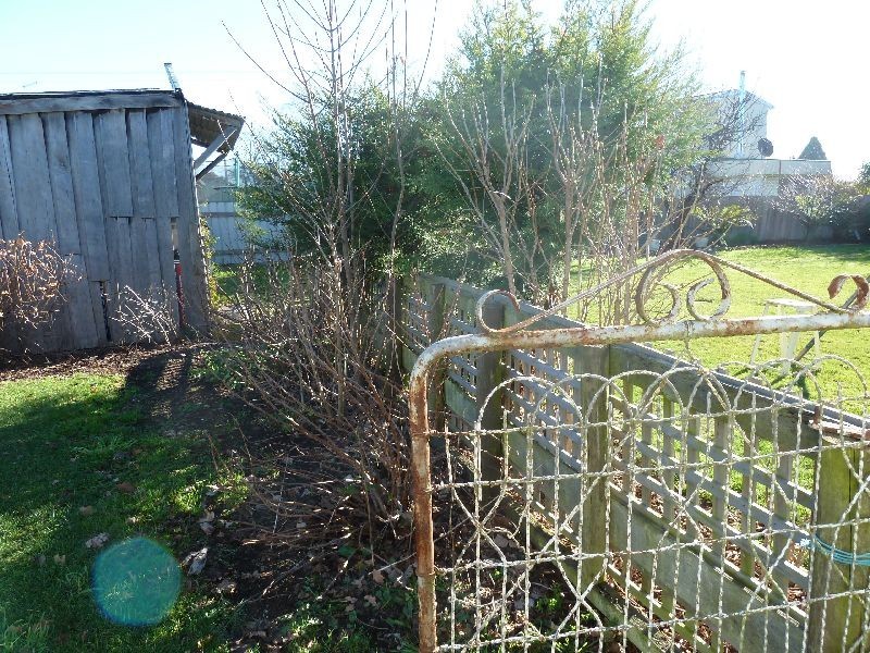 124 King Street, Westbury TAS 7303