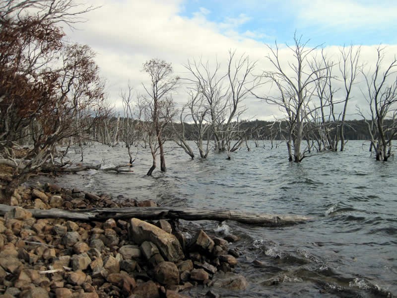 Lot 5, 6, 7, 8 Arthurs Lake Road, Arthurs Lake TAS 7030