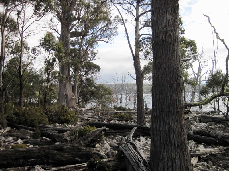 Lot 5, 6, 7, 8 Arthurs Lake Road, Arthurs Lake TAS 7030