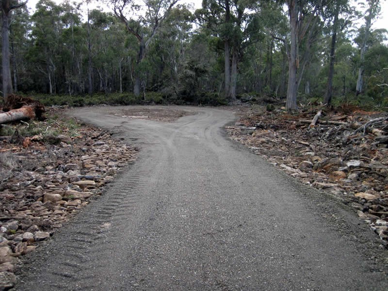 Lot 5, 6, 7, 8 Arthurs Lake Road, Arthurs Lake TAS 7030