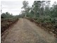 Lot 5, 6, 7, 8 Arthurs Lake Road, Arthurs Lake TAS 7030
