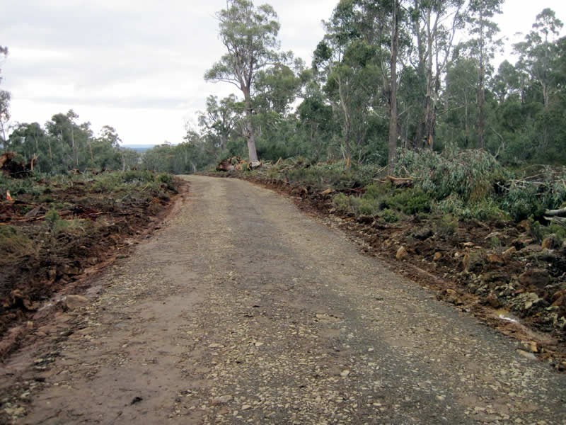 Lot 5, 6, 7, 8 Arthurs Lake Road, Arthurs Lake TAS 7030