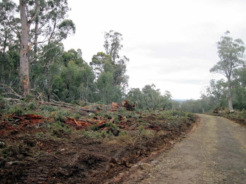 Lot 5, 6, 7, 8 Arthurs Lake Road, Arthurs Lake TAS 7030