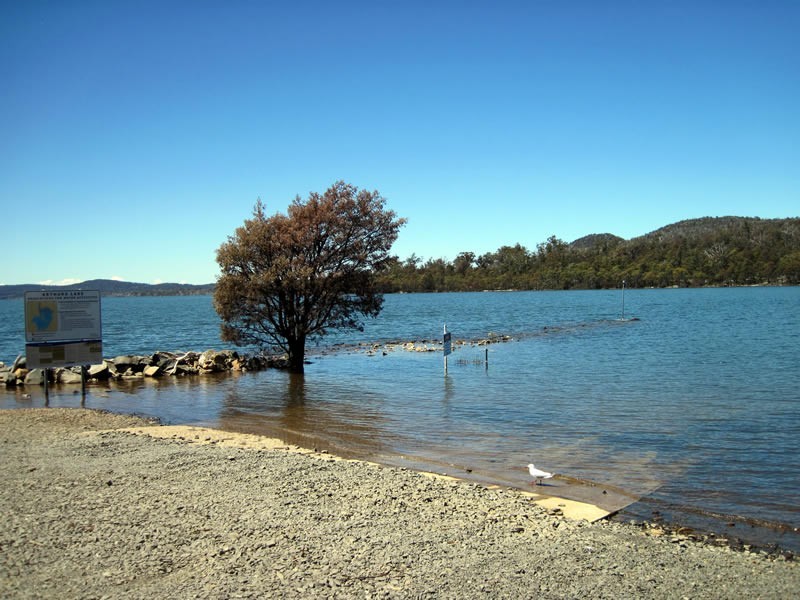 Lot 5, 6, 7, 8 Arthurs Lake Road, Arthurs Lake TAS 7030